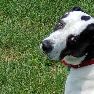 Meet your Posher, Roseann